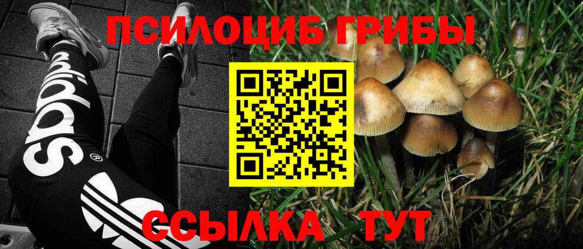 Псилоцибиновые грибы мицелий  Вход с VPN  Сочи 